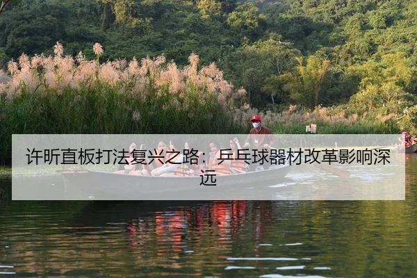 许昕直板打法复兴之路：乒乓球器材改革影响深远